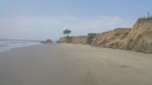 Venta de terreno con playas en sector de Punta Canoa — 20