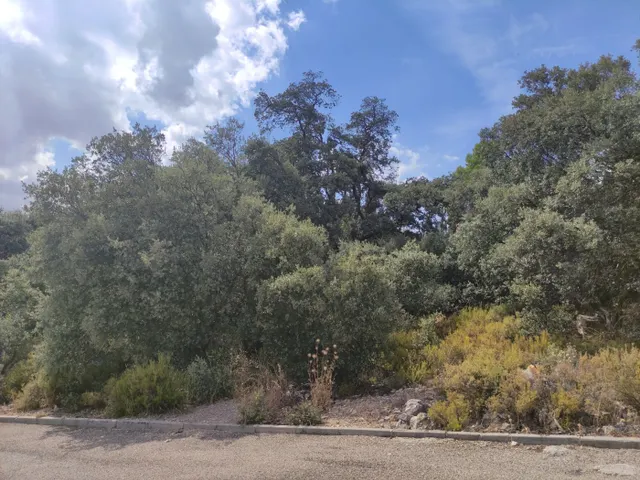 EN VENTA PARCELA URBANA EN URBANIZACIÓN LAS FUENTES DE FUENTENOVILLA (GUADALAJARA) — 2