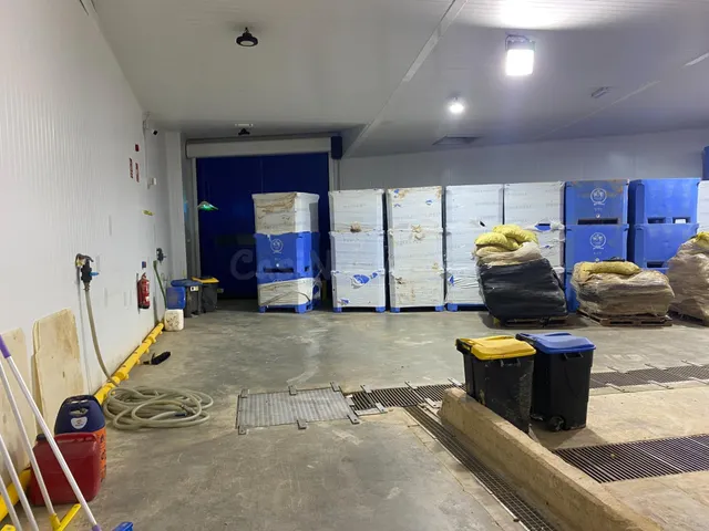Nave con cámara frio en Venta en Albal, 1000 m. - foto 3