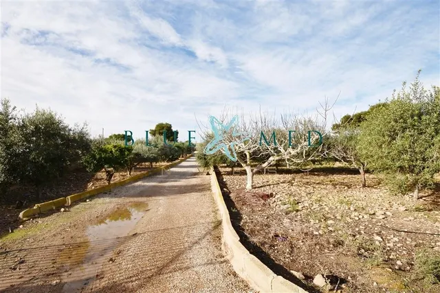 CASA DE CAMPO CON PISCINA Y VISTAS EN EL ALAMILLO - foto 4