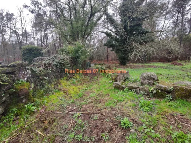 REF  2869 CASA PIEDRA PARA REFORMA INTEGRA CON 4024m2 TERRENO ( PONTEAREAS) — 6