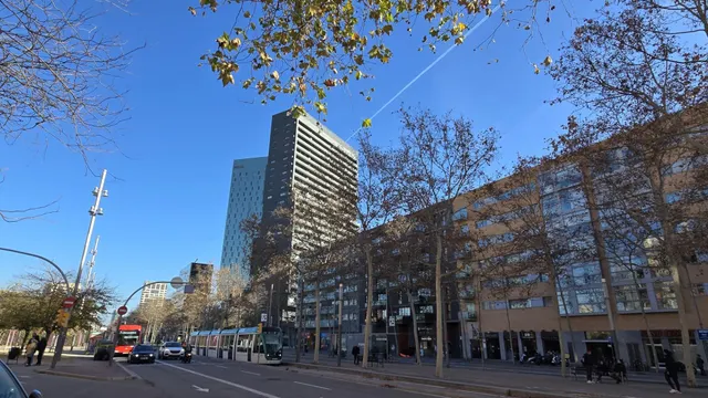 Planta alta y con mucha luz — 14