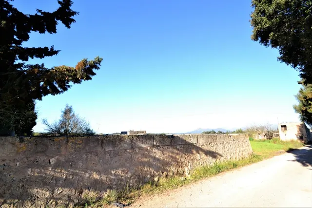 Finca con proyecto aprobado en Llubi — 13