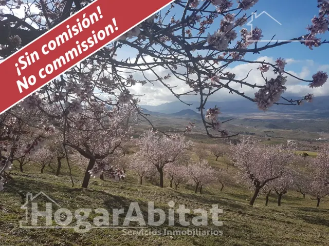 Naturaleza, privacidad y gran producción agrícola en esta singular finca rústica con cortijo tradicional en Vélez-Rubio — 2