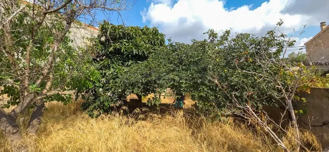 Solar urbano en venta en Ses Salines - foto 4