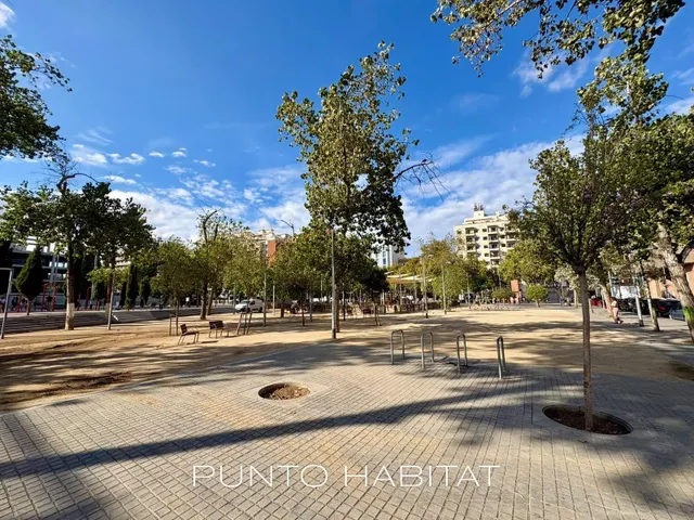 Oportunidad en Poble Sec — 21