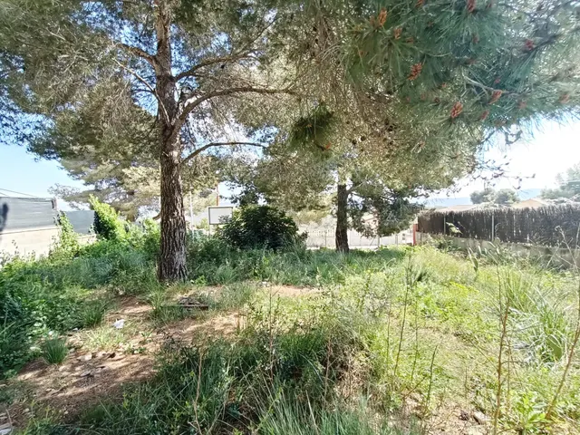 Terreno vallado en la entrada de la urbanización La Cogullada de Canyelles — 4
