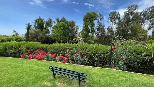 VENTA CASA CON TERRENO, PISICINA Y RESTAURANTE. — 25
