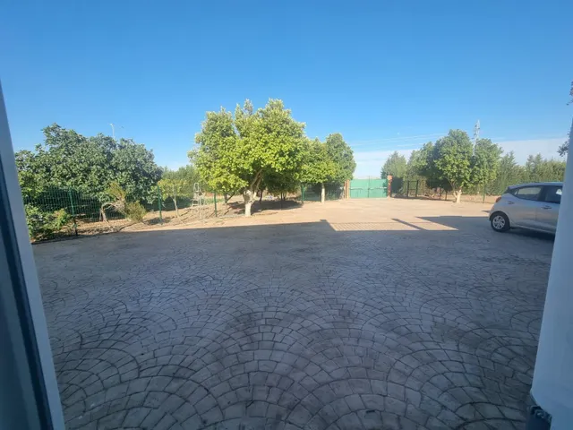 Finca rustica el pintado, Gibraleón — 36