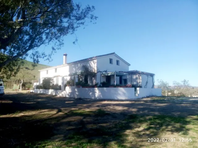 CORTIJO PARA TI Y TUS ANIMALES — 31