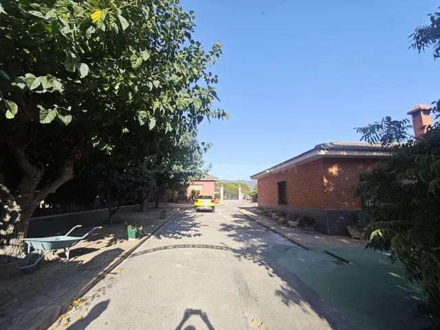 Campo en Sax 14.000 m2 parcela y casa con piscina — 35