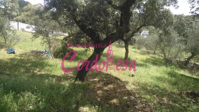 OPORTUNIDAD EN CERRO MURIANO — 12