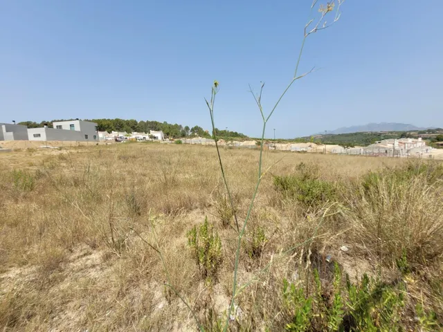 Terreno edificable con proyecto y permiso de obra vigente en Sant Esteve Sesrovires — 20