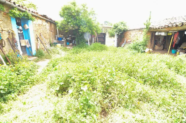 Urbis te ofrece una casa con terreno en venta en Doñinos de Salamanca, Salamanca. — 4