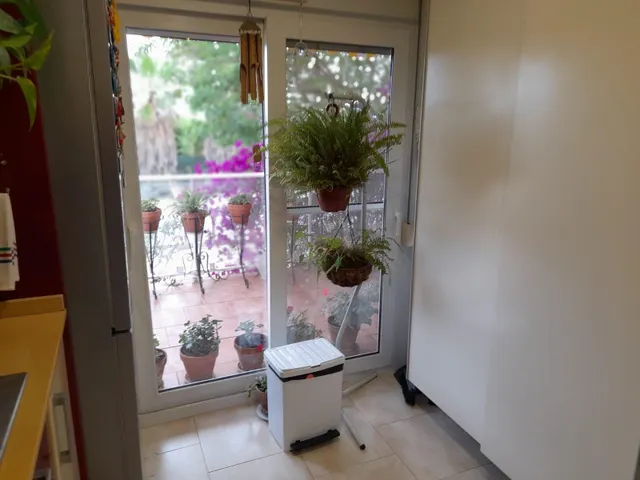 OPORTUNIDAD CASA RUSTICA EN FINCA DE 0,7 HAS.CON VIVIENDA EN SU INTERIOR, PISCINA Y ALMACENES EN MORA LA NOVA — 20