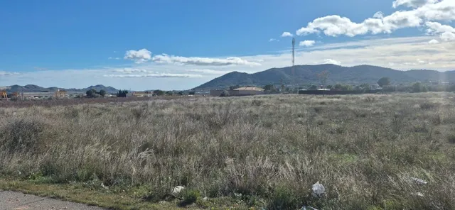 TERRENO EN LA ROMANA DE 14.718M2 - IDEAL PARA CHALETS - foto 2