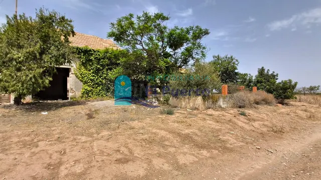 CASA DE CAMPO PARA REFORMAR CON PARCELA EN TALLANTE - REF 20 - foto 2