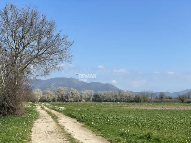 Castelló d'Empúries | Finca rústica no edificable en un ento