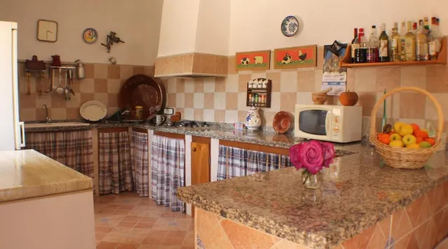 Finca rústica 4 habitaciones 260m² en venta - South of spain — 4