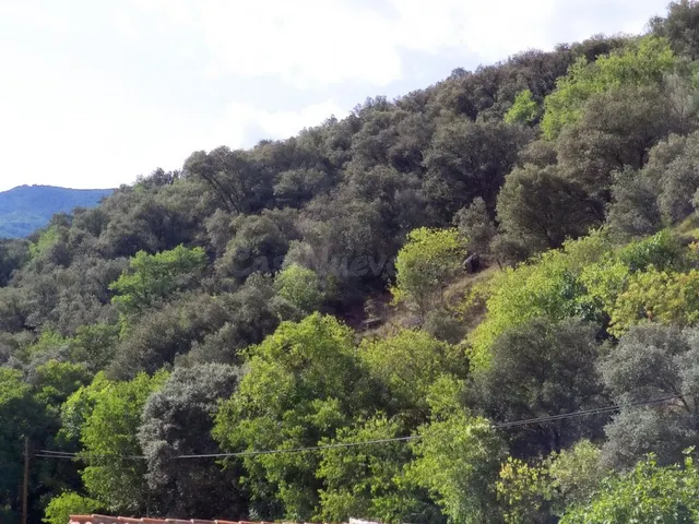 Turismo rural - Pensión / Hostal - Excelente oportunidad invierte en tu proyecto — 25