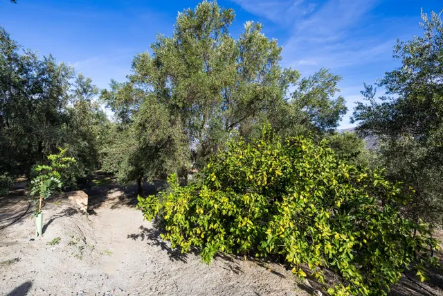 ¡Oportunidad única! Dos Fincas rústicas de mas de 15.000 m2 en total en Pinos del Valle. VENTA JUNTAS O SEPARADAS — 34