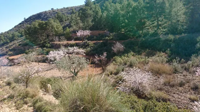 SE VENDE PARCELA EN TOTANA (MURCIA) — 9