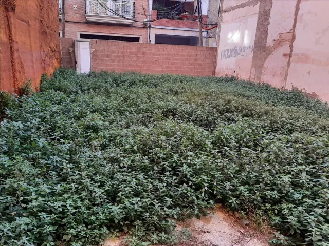 Terreno en venta para construir viviendas en Burriana (Caste - foto 4