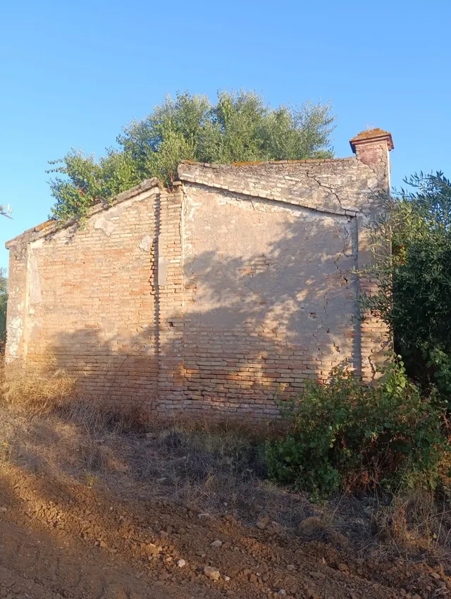 Terreno rural en venta - Almonte - foto 2