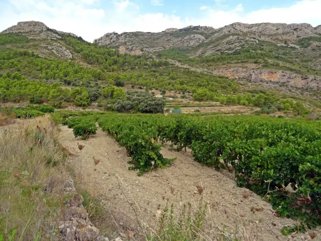 Bodega en venta en Jalon — 12