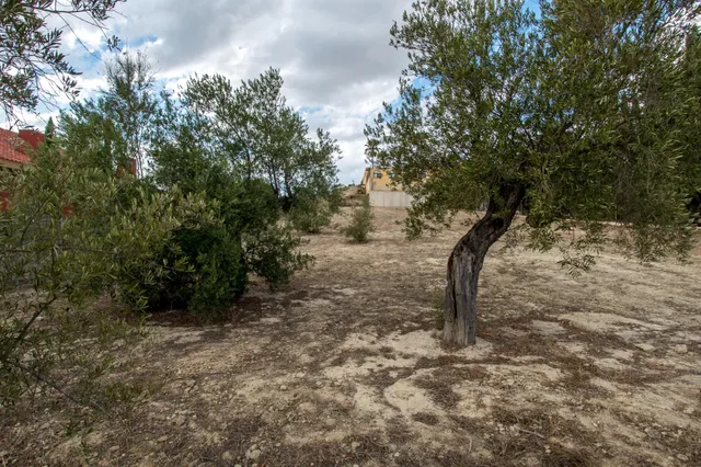Parcela de casi 1500m2 en el Chorrico — 12