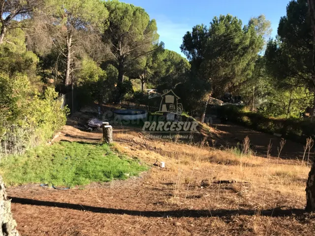 ZONA TORRE HORIA-TRASSIERRA -Parcela de terreno con pozo com - foto 3