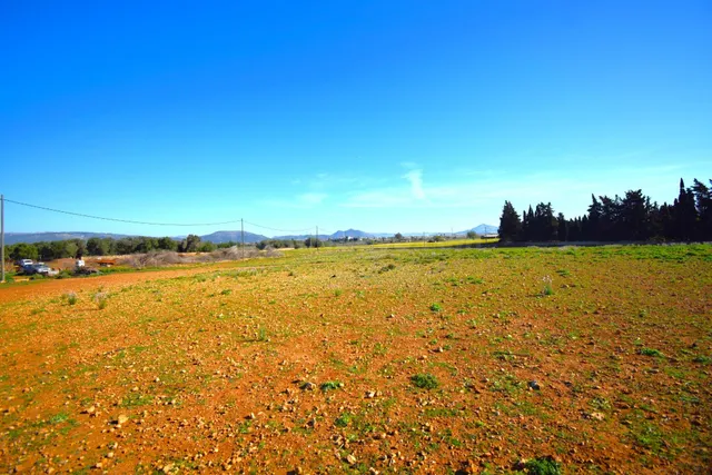 Finca rústica con posibilidad de vivienda en Muro - foto 5
