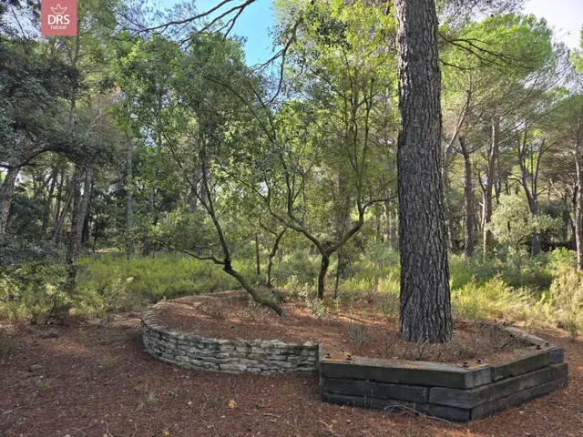 Terreno en urb pinares del jucar — 5