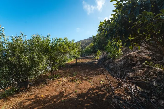 Finca rústica con casa terrera y vistas al mar en tierra del trigo, los silos — 32