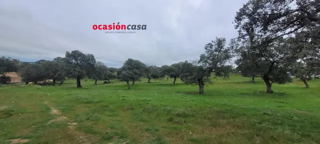 PARCELA RÚSTICA EN PEDROCHE