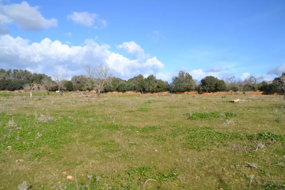 Finca rústica Manacor