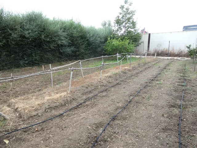 +Oportunidad Única: Casa para Reformar en Entorno Rural y Ecológico+ — 16