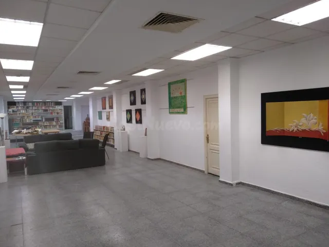 Amplio Local Comercial en el Corazón de Gandía — 4