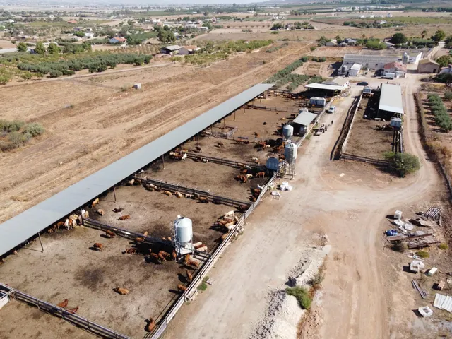 Gran explotación ganadera en lorca: capacidad para 760 cabezas y finca agrícola en producción — 16