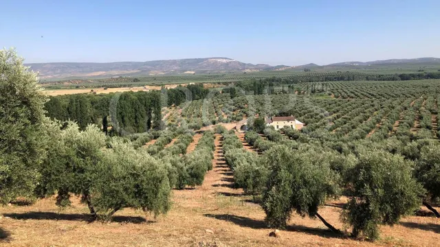 SE VENDE TERRENO JUSTICO EN CABECICO DEL REY, CORVERA - foto 3