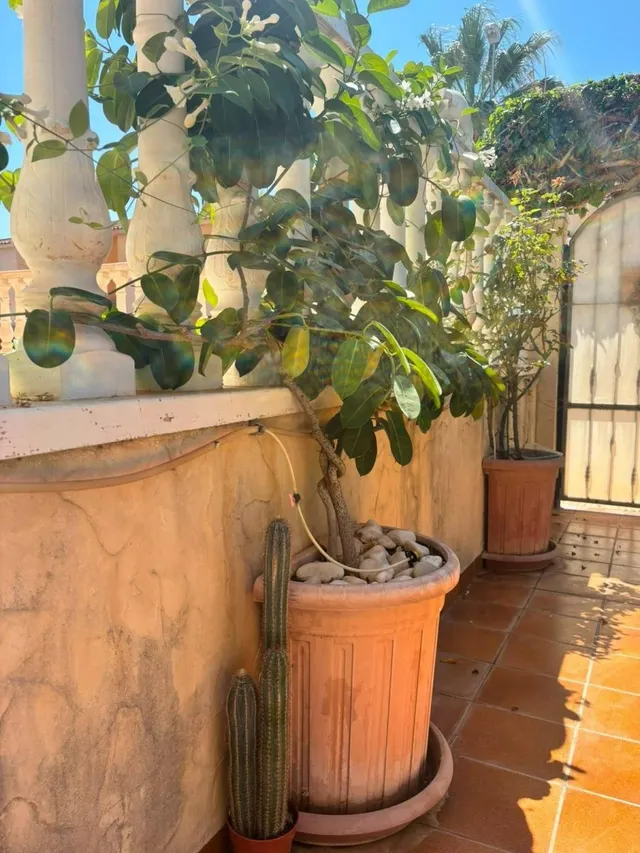Villa 2 habitaciones 68m² en venta - Lomas de Cabo Roig — 20