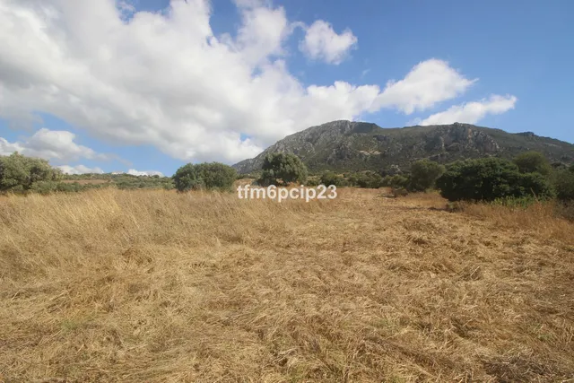 Finca rústica de 37.570 m² en Casares, Costa del Sol — 5