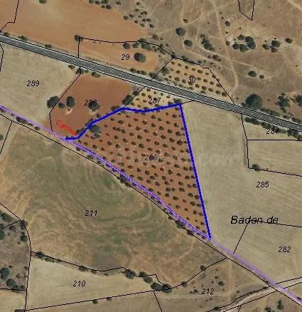 Parcela de 13.882 m2 para Explotación Fotovoltaica o Agraria