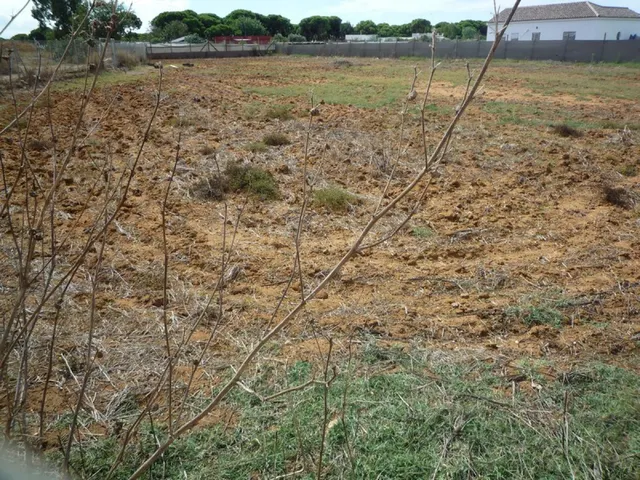 Terreno en el Pinar de la Villa cercano a la Ermita Virgen d - foto 3