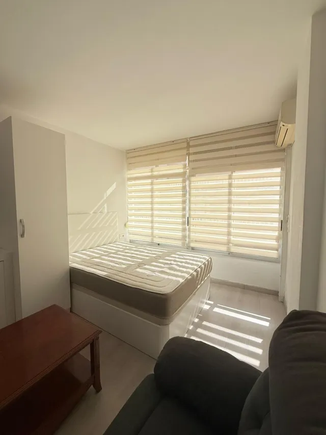 Estudio-Torrevieja-centro-700 m de la playa- — 16