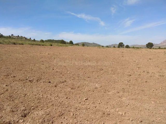 Parcela en venta - Ayuntamiento - foto 4