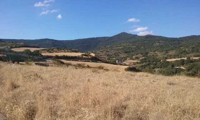Parcelas urbanizadas en Arellano — 4
