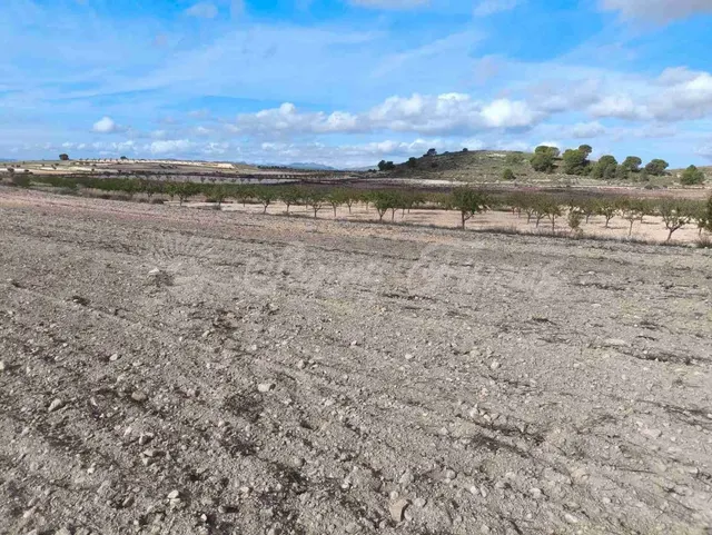 Suelo rústico en Venta en Jumilla Murcia — 10
