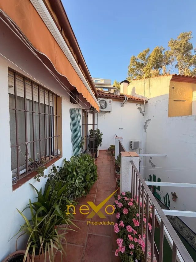 CASA DOS PLANTAS. ZONA NECRÓPOLIS — 23