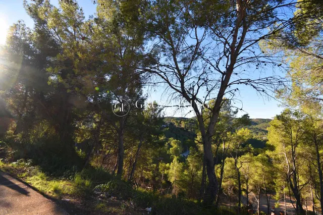TERRENO CON VISTAS EN CALLE PRINEUS, MAS MESTRE — 5